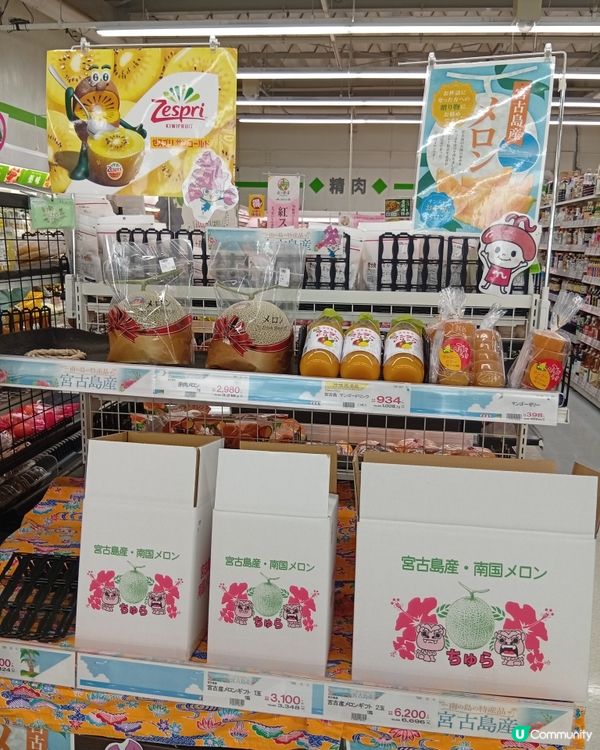 沖繩宮古島之旅，美到爆💥！