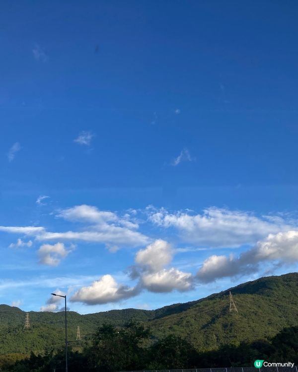 連鎖店的紫薯包及環保小店的燕麥牛奶