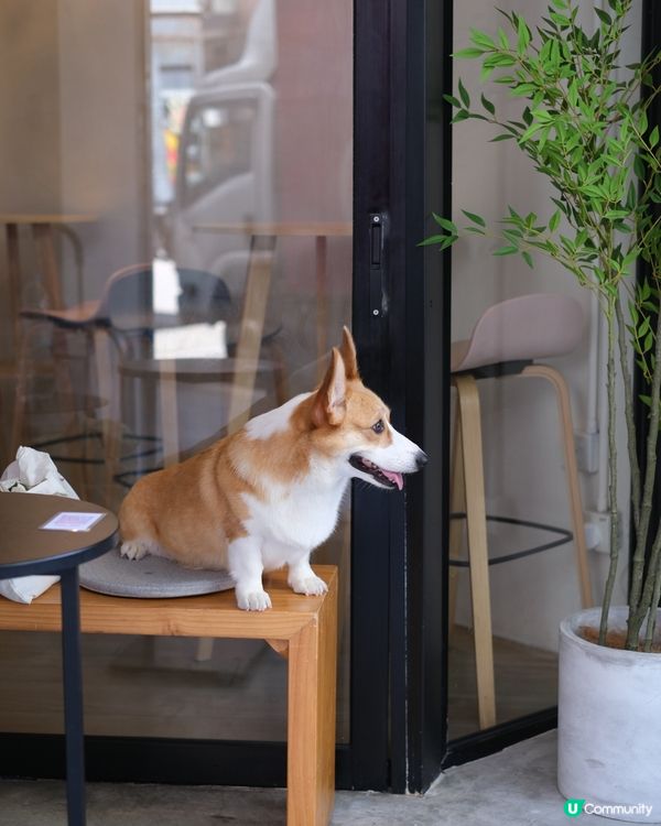 深水埗新開手作料理店，文青必打卡！ 📸