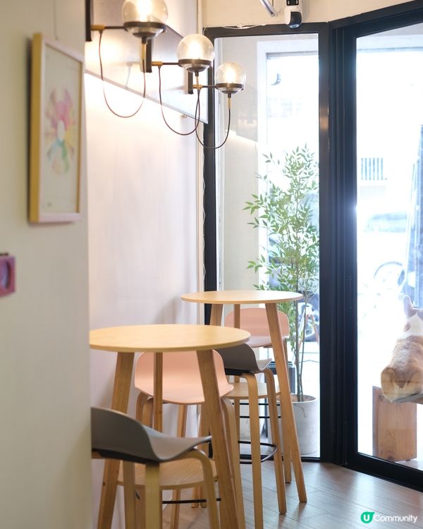 深水埗新開手作料理店，文青必打卡！ 📸