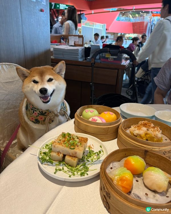 / 帶毛孩嘆冷氣食點心 \