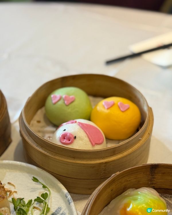 / 帶毛孩嘆冷氣食點心 \