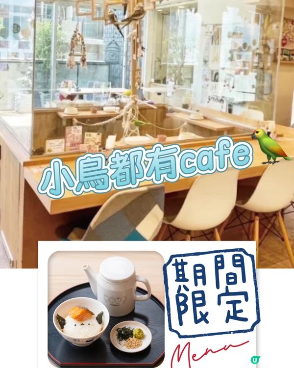 👋🏻摸得到既大阪小鳥主題cafe