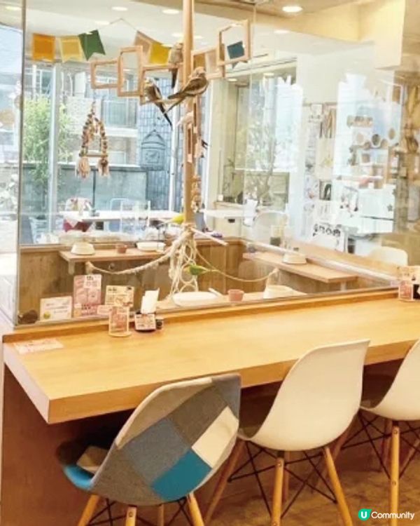 👋🏻摸得到既大阪小鳥主題cafe