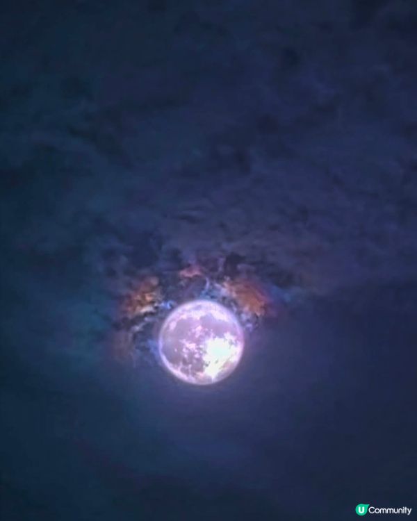 美麗粉紅色月亮