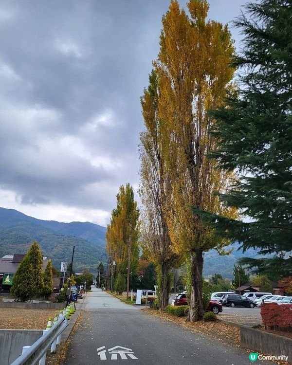❤️❤️❤️富士山河口湖附近一帶-完熟屋