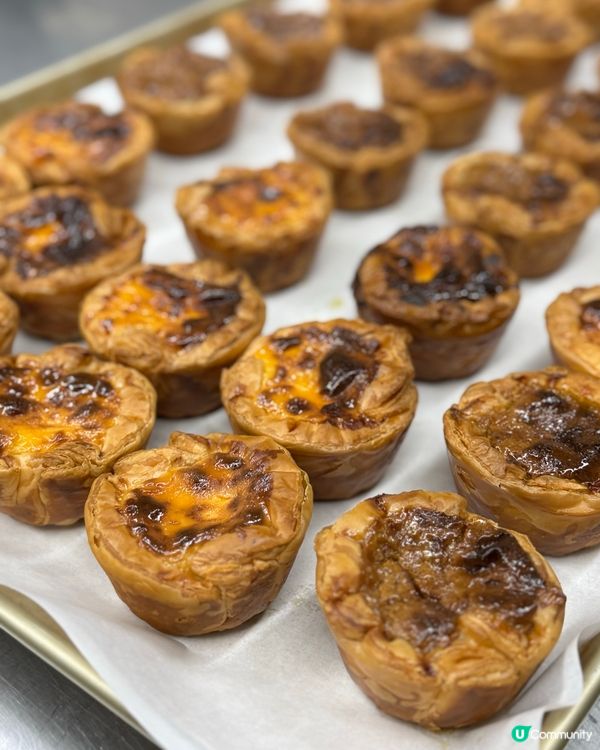 蛋撻界呢期佢最紅！