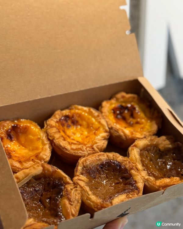 蛋撻界呢期佢最紅！