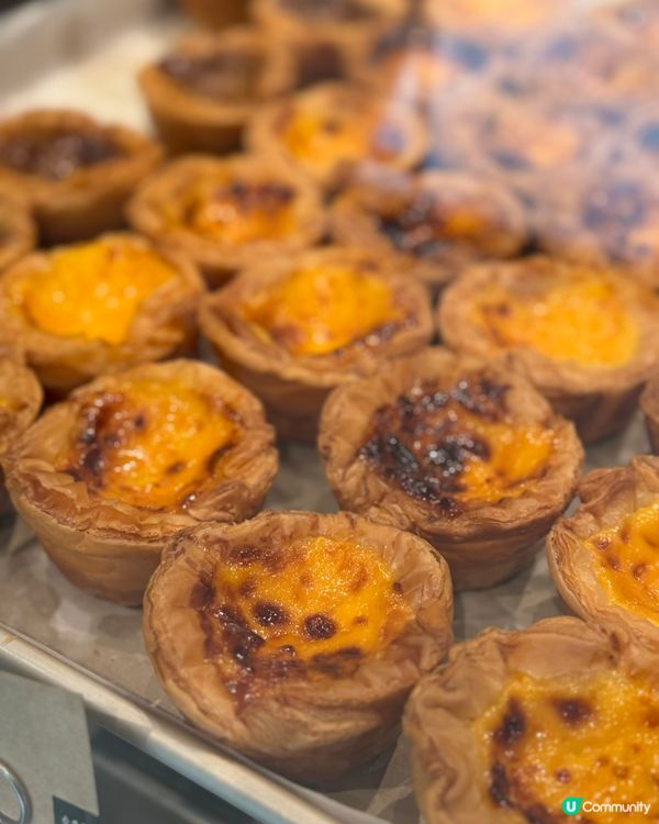 蛋撻界呢期佢最紅！