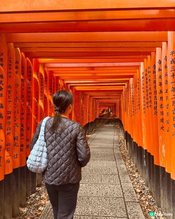 京都清水寺觀光一日遊⛩️