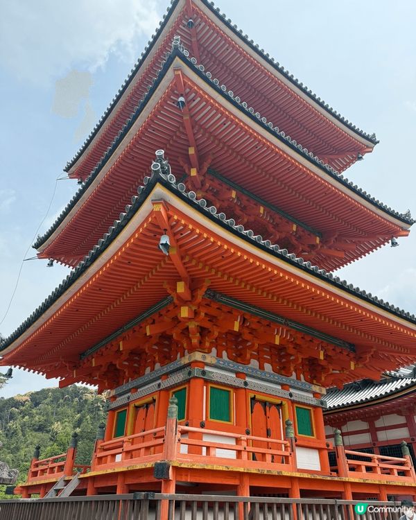 京都清水寺觀光一日遊⛩️
