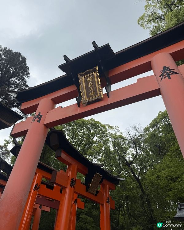 京都清水寺觀光一日遊⛩️