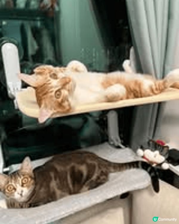 我哋要試罐罐, 每日爸爸都會陪我地玩啦, 玩啦, 同埋玩