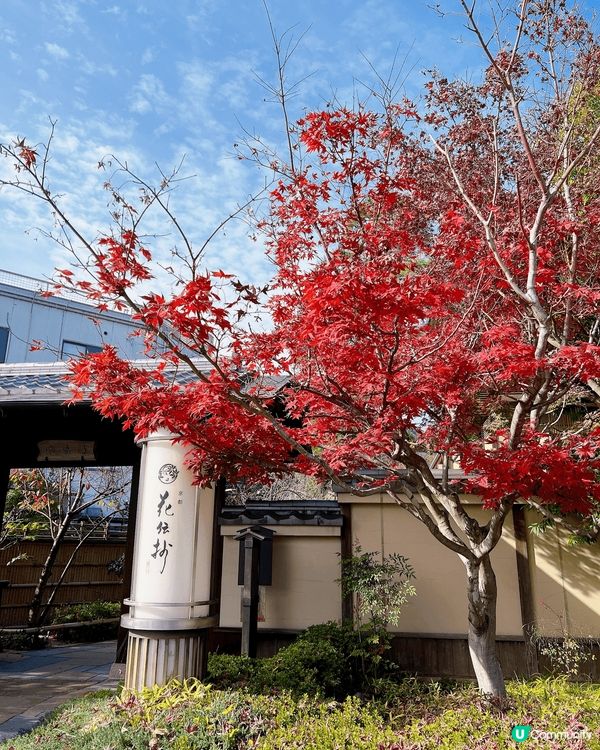 最美的紅葉季節 • 日本🍁