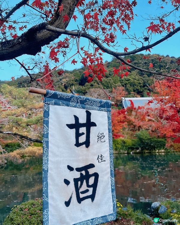 最美的紅葉季節 • 日本🍁