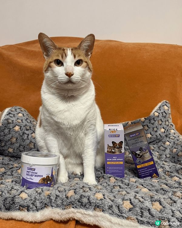 貓貓生活照，以及之前的一些贊助產品照，還附上貓貓的IG Ac...