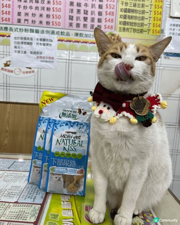 貓貓生活照，以及之前的一些贊助產品照，還附上貓貓的IG Ac...