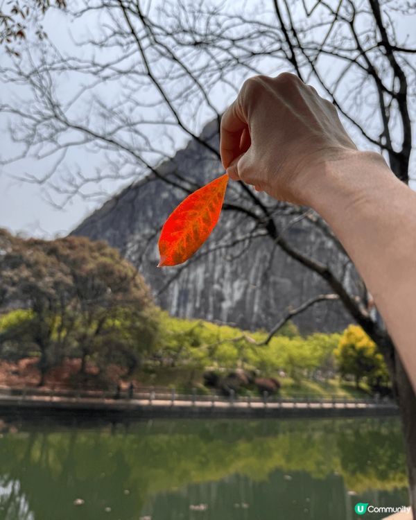 廣西是一個非常之美麗而景色也一絕⋯⋯與當地最出名的劉三姐合照...