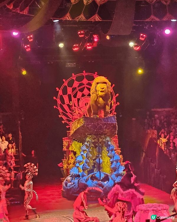 大家北上 我留港消費， 有機會去廸士尼玩一天， 睇show睇...