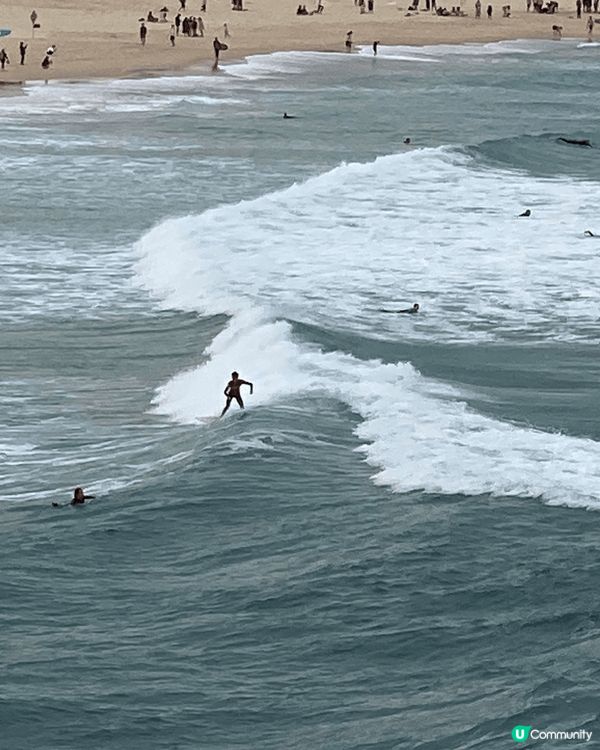 悉尼，係一個令人去旅遊樂宜忘返嘅好地方。我玩咗差不多2星期，...