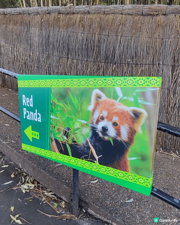 悉尼，係一個令人去旅遊樂宜忘返嘅好地方。我玩咗差不多2星期，...