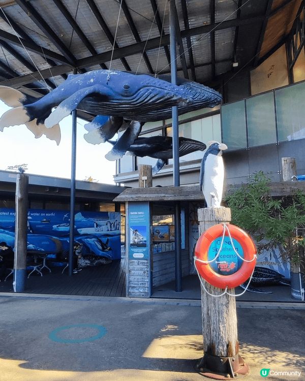 悉尼，係一個令人去旅遊樂宜忘返嘅好地方。我玩咗差不多2星期，...