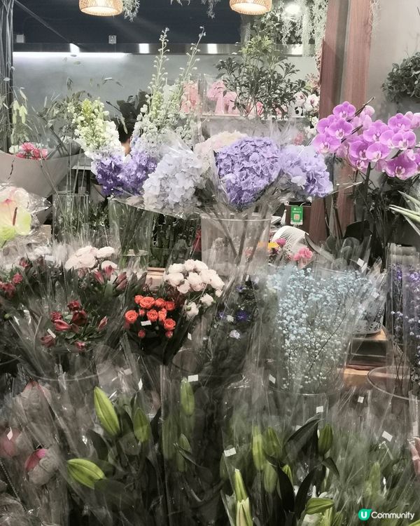 #主子lamlam脷