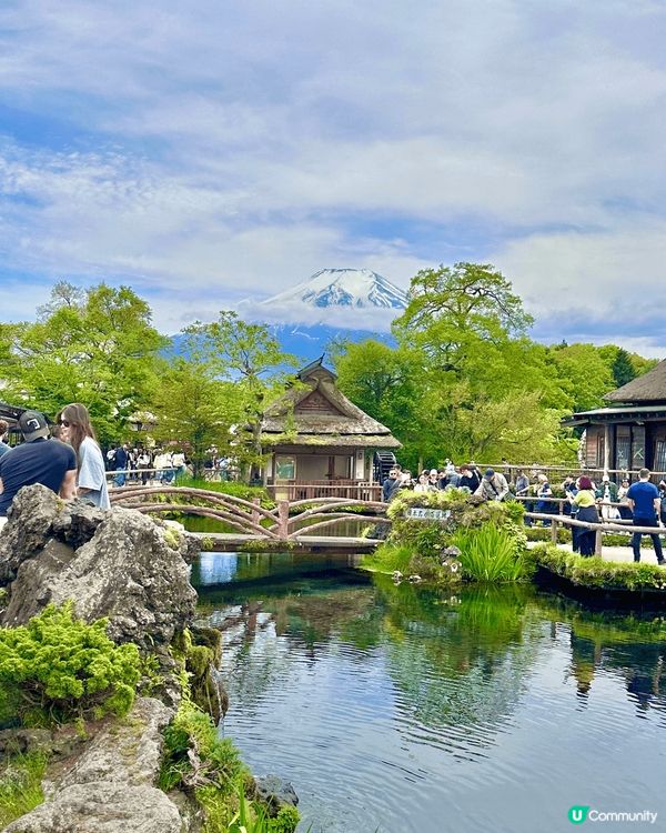 🇯🇵🗻第二次來終於成功的忍野八海✨ 