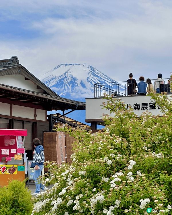 🇯🇵🗻第二次來終於成功的忍野八海✨ 