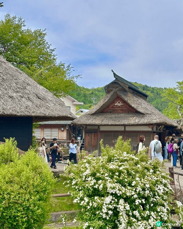 🇯🇵🗻第二次來終於成功的忍野八海✨ 