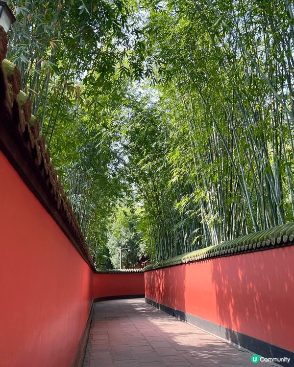 最近去左成都交流團，到左個武侯祠，見到好多古人嘅人像，但最靚...