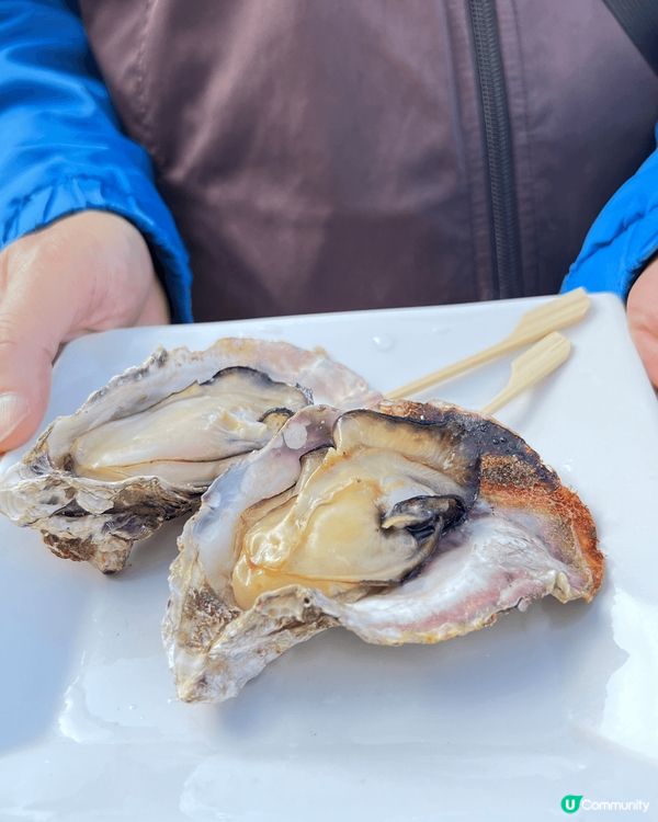 廣島名物，廣島蠔，無論炭燒或吉列都滋味無窮，yummy!