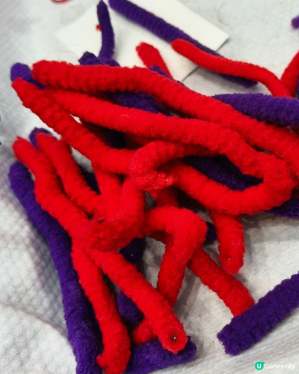 生日驚喜🎉：髮型改造計畫💇  