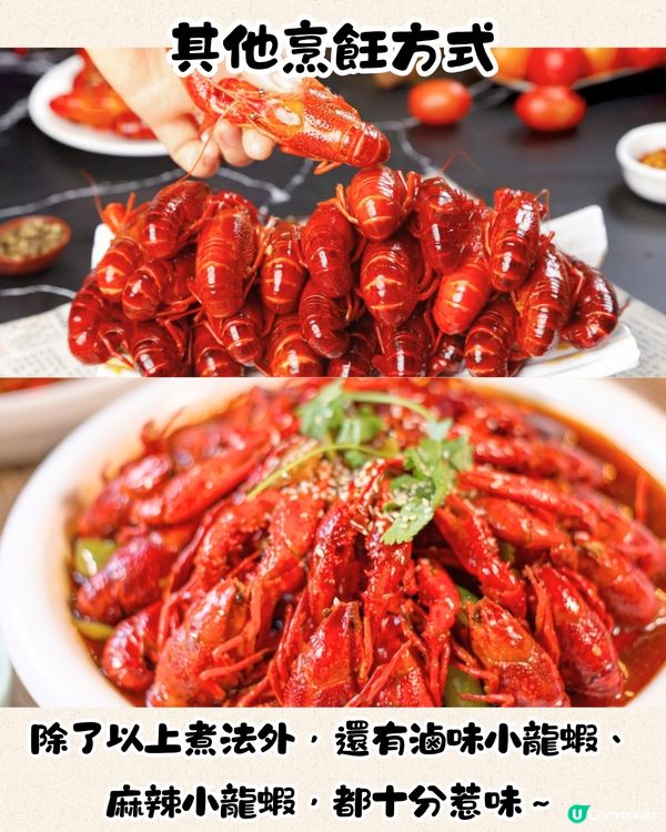深圳福田區宵夜推介😋即叫即煮小龍蝦‼️5大必食菜式/附套餐推介