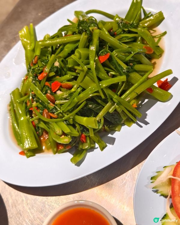 醉貓炒河