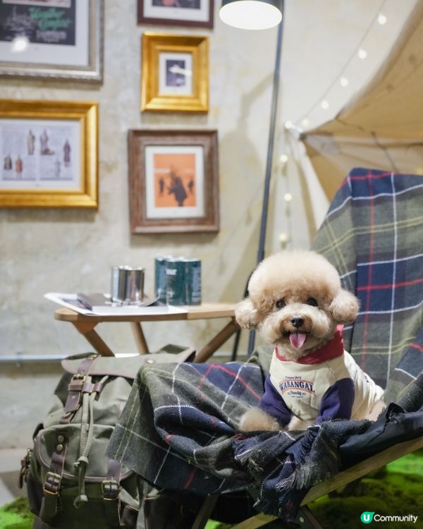 深水埗露營主題寵物友善餐廳Loop Kulture🏕️