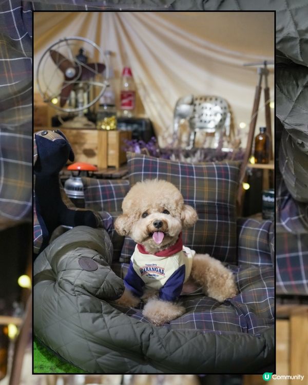 深水埗露營主題寵物友善餐廳Loop Kulture🏕️