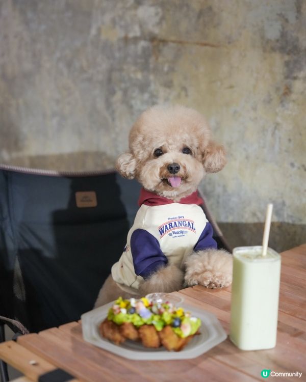 深水埗露營主題寵物友善餐廳Loop Kulture🏕️