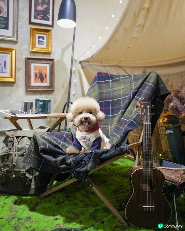 深水埗露營主題寵物友善餐廳Loop Kulture🏕️