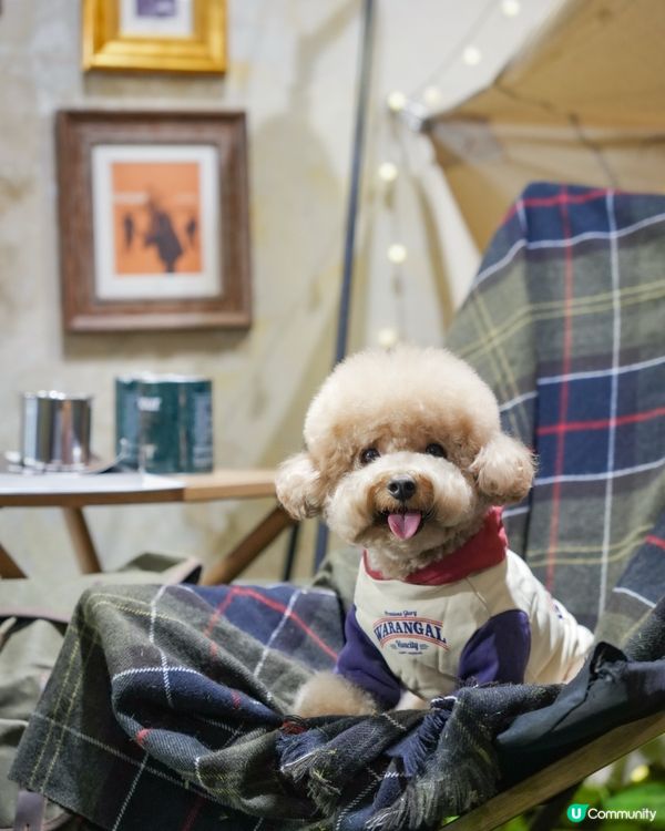 深水埗露營主題寵物友善餐廳Loop Kulture🏕️