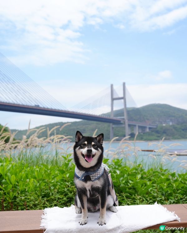 變靚靚嘅馬灣1868😆