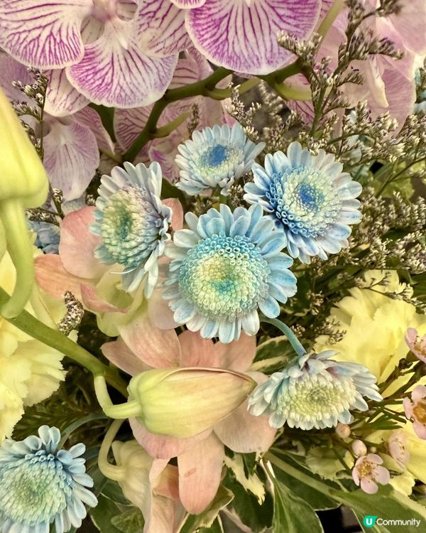 🌻🪻🌼Happy June🌼🪻🌻