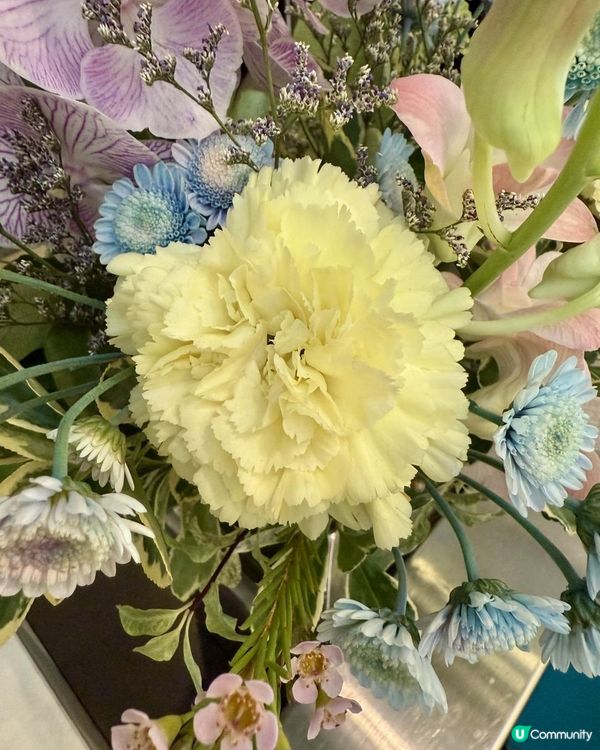 🌻🪻🌼Happy June🌼🪻🌻