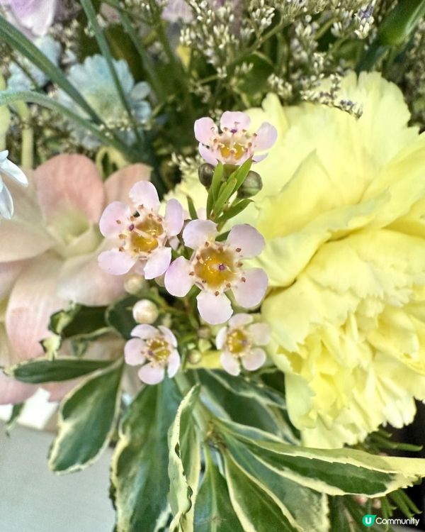 🌻🪻🌼Happy June🌼🪻🌻
