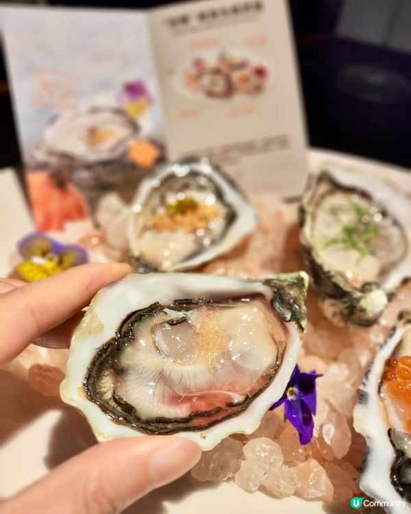 【🦪深圳唯一生蚝吧.富有海洋氣息的餐廳】