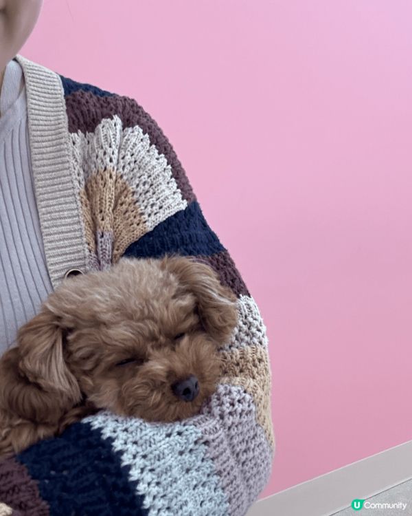 東京嘅puddle cafe😻 細細粒超cute!!! 抱上...