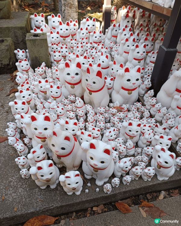 豪德寺，簡稱招財貓寺，位於日本東京世田谷區，是招財貓（招福貓...