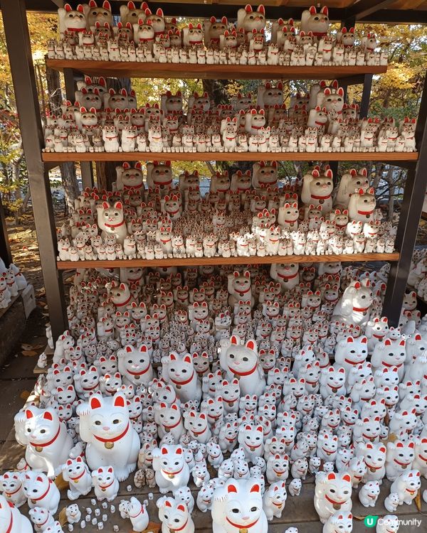 豪德寺，簡稱招財貓寺，位於日本東京世田谷區，是招財貓（招福貓...