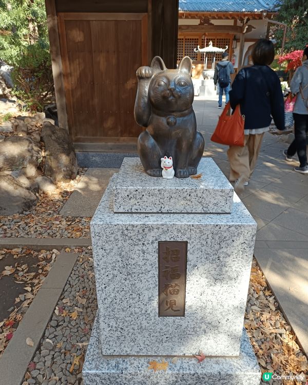 豪德寺，簡稱招財貓寺，位於日本東京世田谷區，是招財貓（招福貓...