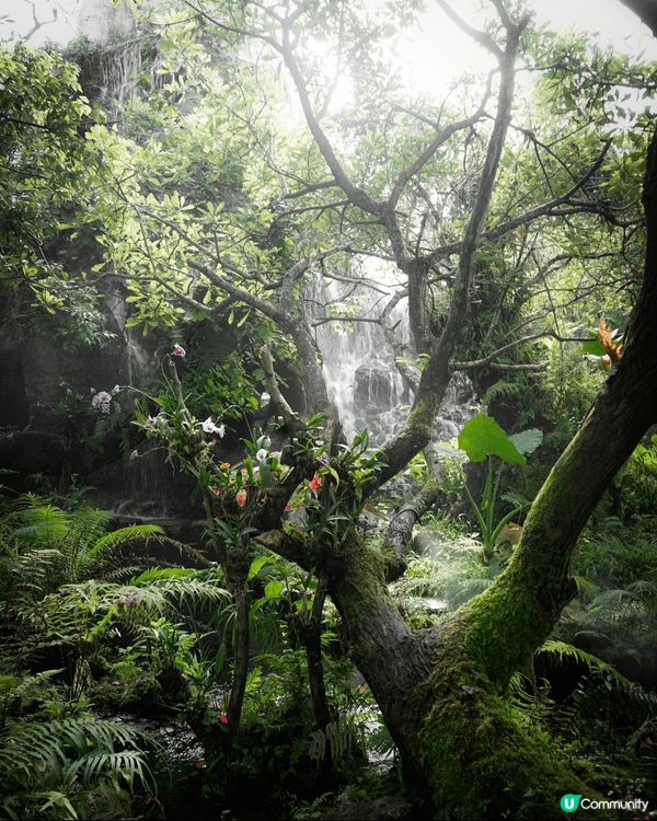 最近就去咗日本旅行，今次有目的地就係大阪同埋京都。首先當然去...